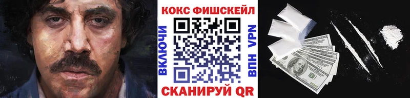 Кокаин Fish Scale  магазин продажи наркотиков  Алзамай 