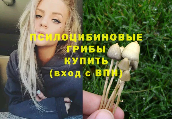 a pvp Алексеевка