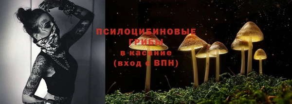 бошки Алексин