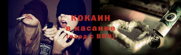 соль ск Алзамай