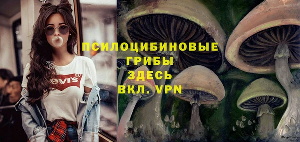 бошки Алексин