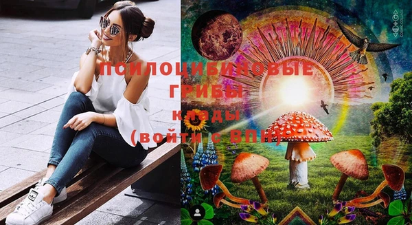 ешки Абаза