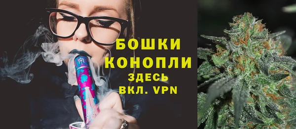бошки Алексин