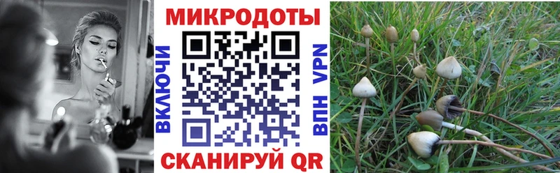 Галлюциногенные грибы GOLDEN TEACHER Алзамай